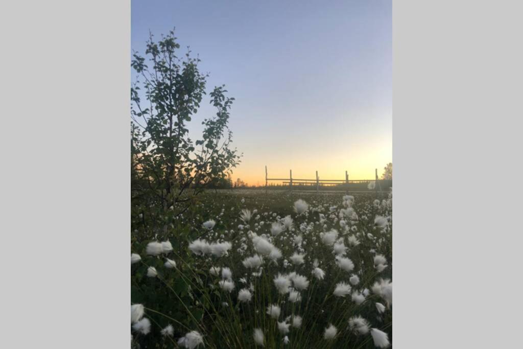 Baggarden Fjaellby, Messlingen 빌라 외부 사진